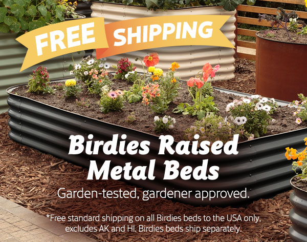 Mobile - Birdies raised beds free shipping.