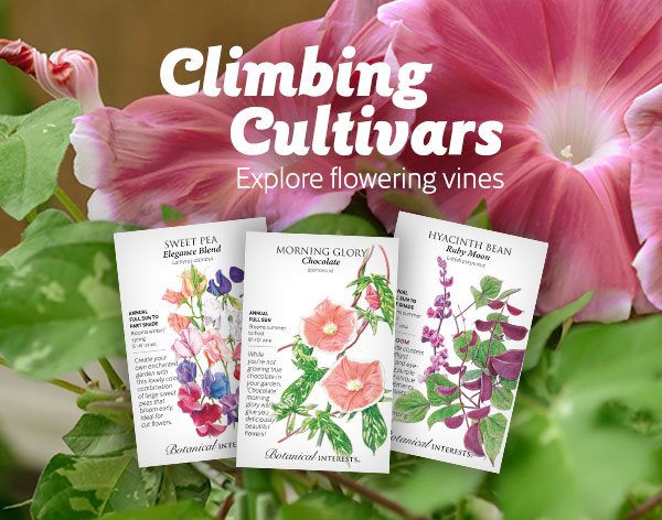 Mobile - Flowering vines