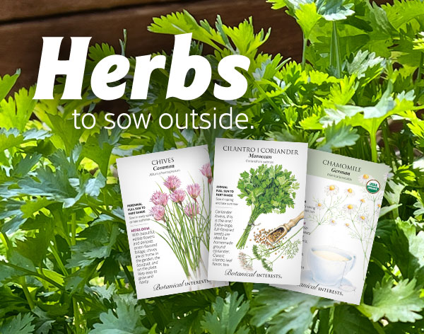 Mobile - Direct sow herbs