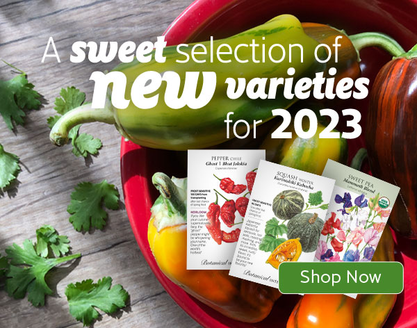 Mobile - 2023 new varieties