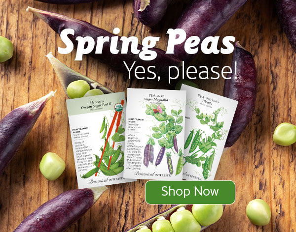 Mobile - Spring peas