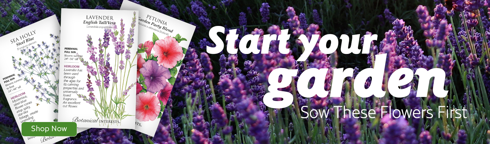 Start Your Garden! Plant These Flowers First!