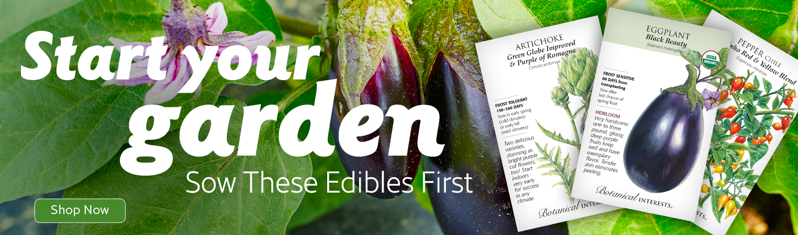 Start Your Garden! Sow These Edibles First!