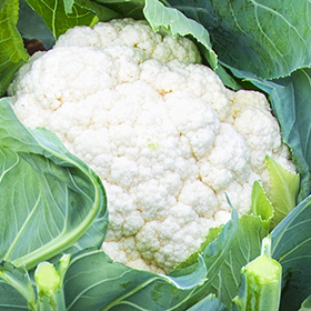 Cauliflower: Sow and Grow Guide