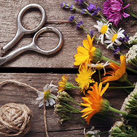 Cut-Flower Gardening—10 Tips for Success!