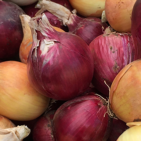 Onion: Sow and Grow Guide