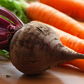 Root Vegetables: 10 Tips for Success