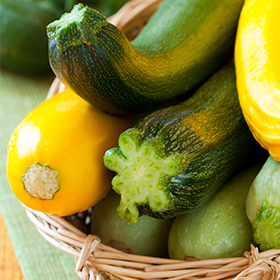 Squash (Summer): Sow and Grow Guide