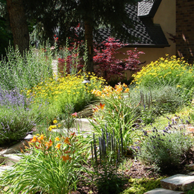 Xeriscaping Your Yard