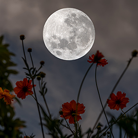 The Historical Significance of the Harvest Moon