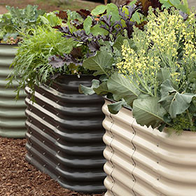 Raised Bed Gardening: Benefits, Tips and Tricks