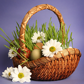 Easter Basket Grass