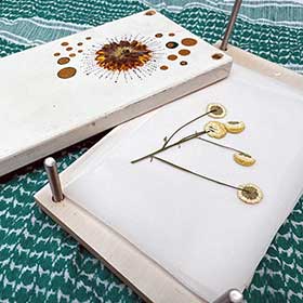 How to Build a Flower Press
