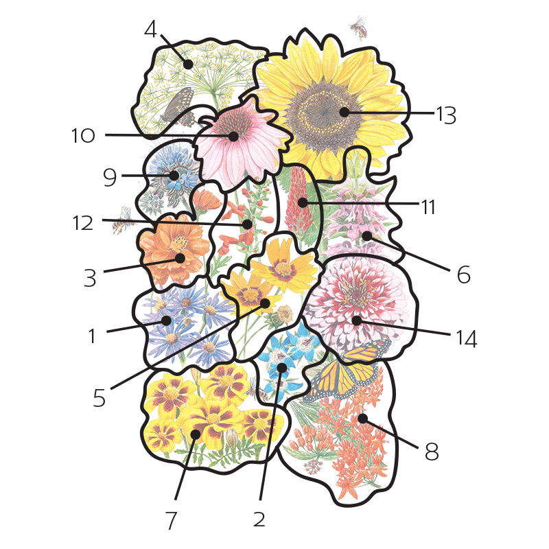 Mix Diagram
