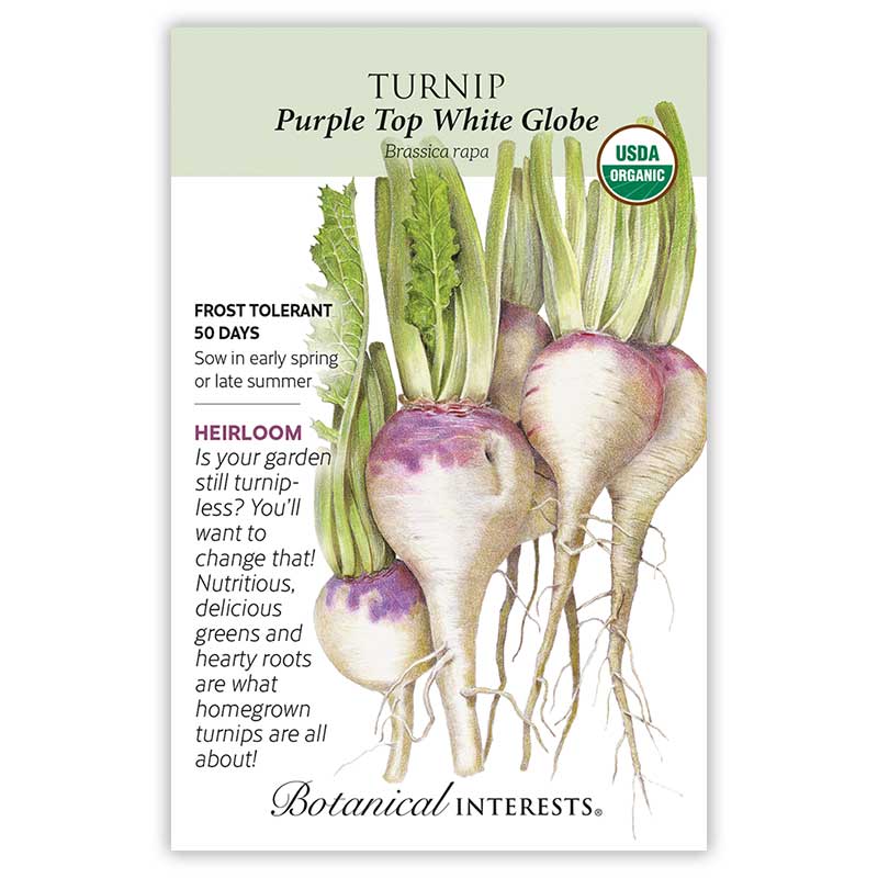 Purple Top White Globe Turnip Seeds view 3