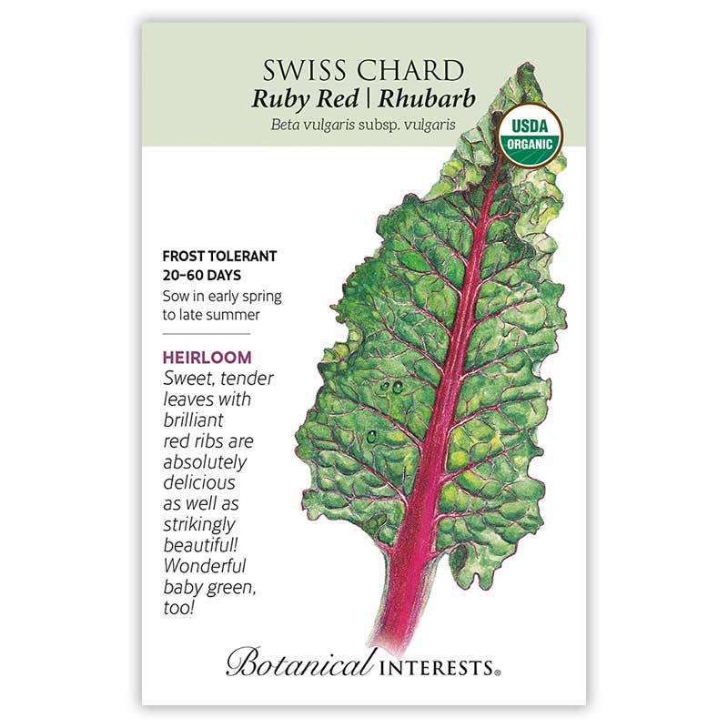 Ruby Red/Rhubarb Swiss Chard Seeds view 3