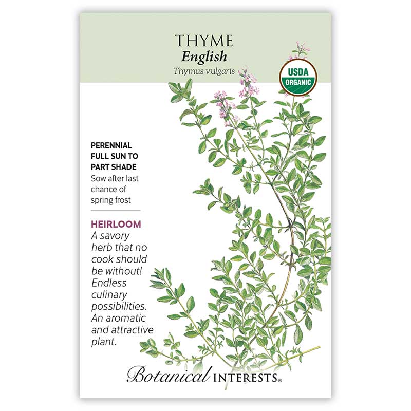 English Thyme Seeds view 3