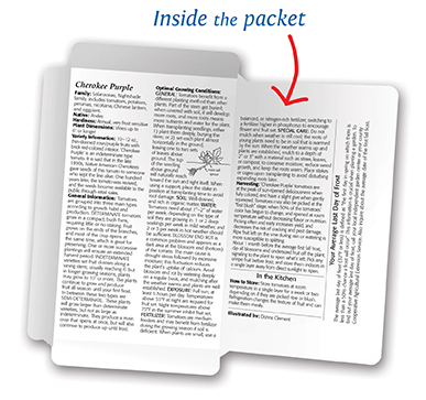 Inside of Packet