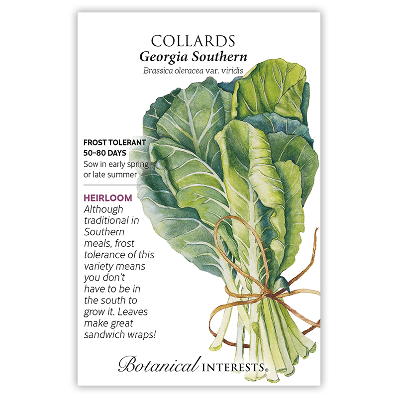 Southern Collards Seeds, Vegetables Botanical Interests