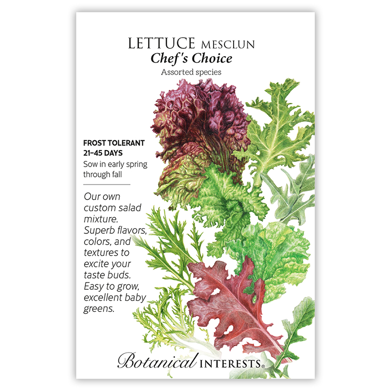 Chef's Choice Mesclun Lettuce Seeds view 3