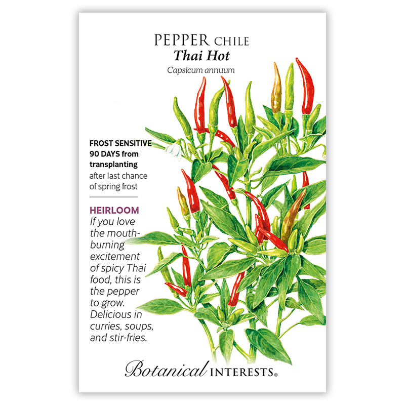 Chile Pepper Collection view 5