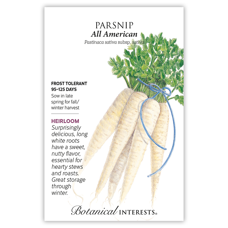 All American Parsnip Seeds view 3