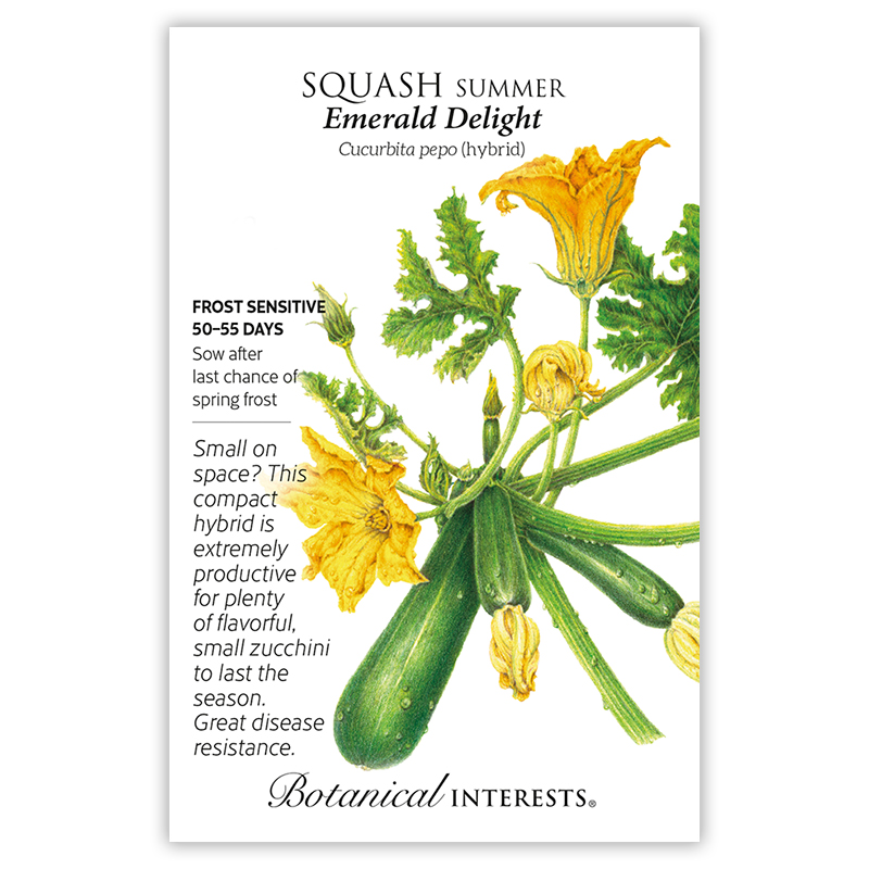 Emerald Delight Summer Squash Seeds view 3