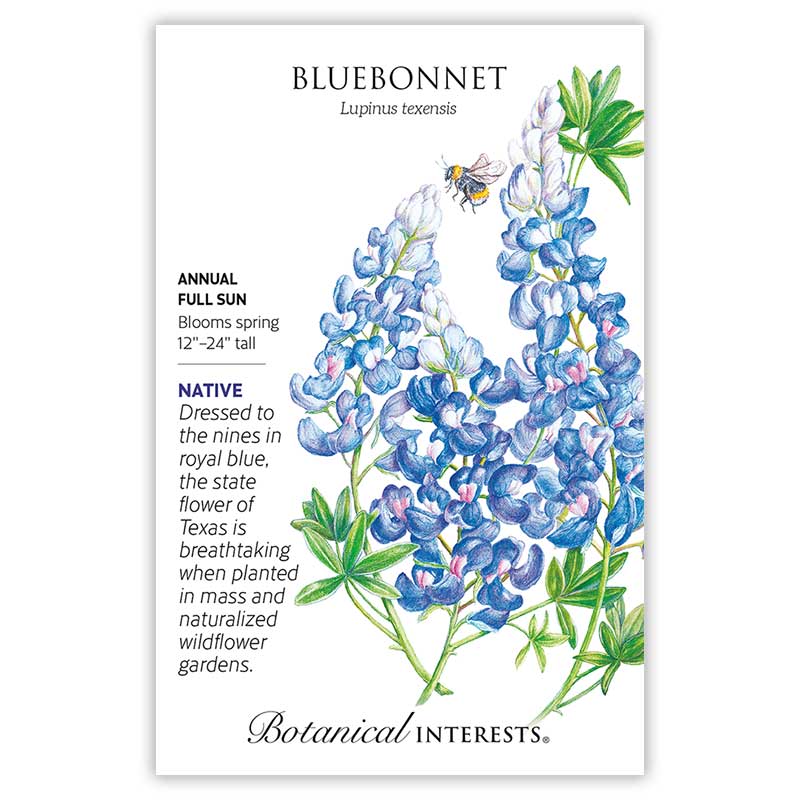Bluebonnet Seeds        view 3