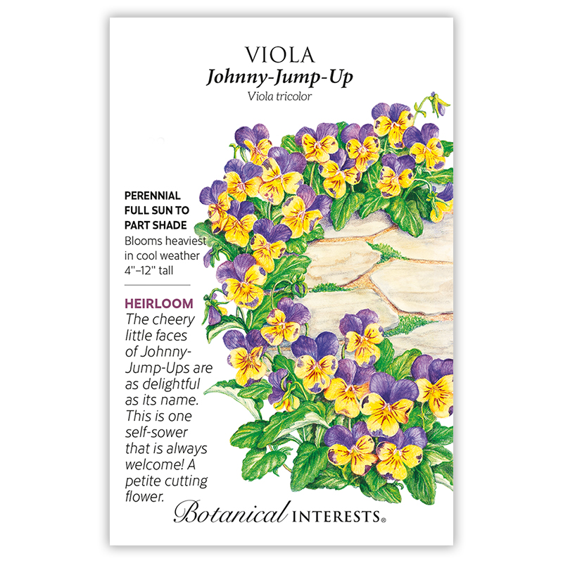 Johnny-Jump-Up Viola Seeds       view 3
