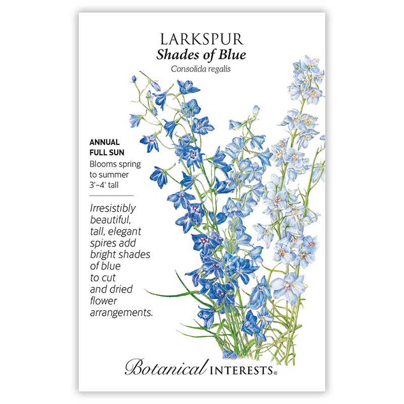 Shades of Blue Larkspur Seeds     view 3