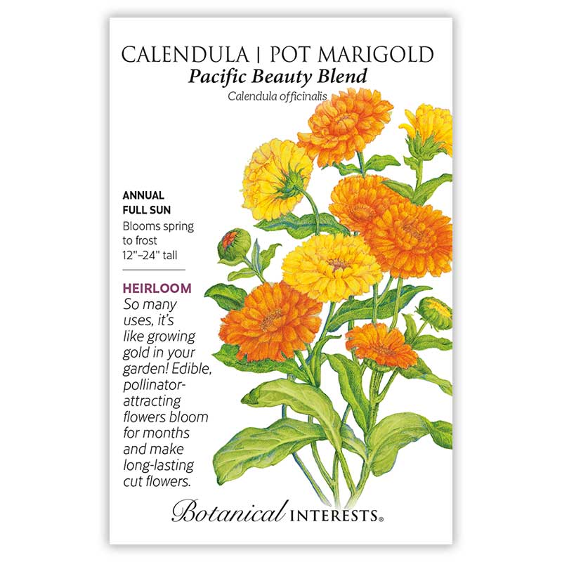 Pacific Beauty Blend Calendula (Pot Marigold) Seeds   view 3