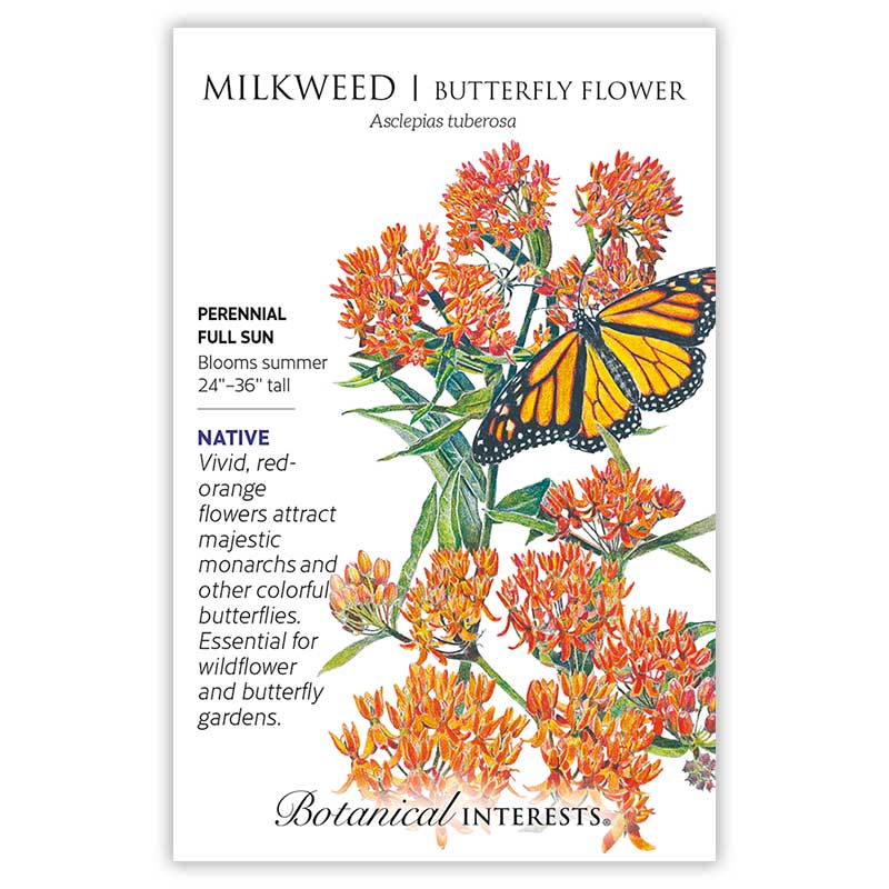 Midwest Flutter Butterfly Collection view 2