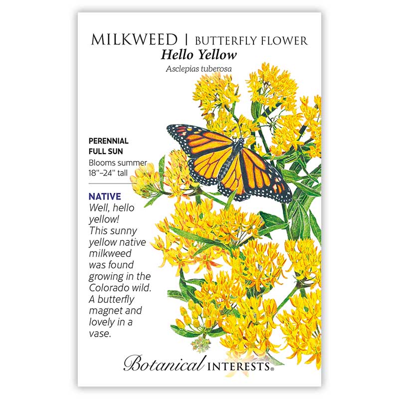 Hello Yellow Milkweed/Butterfly Flower Seeds view 3