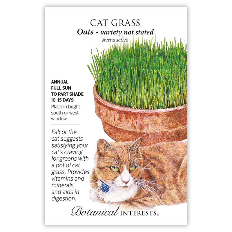 Cat Grass Oats Seeds view 3