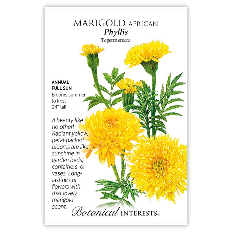Phyllis African Marigold Seeds view 3