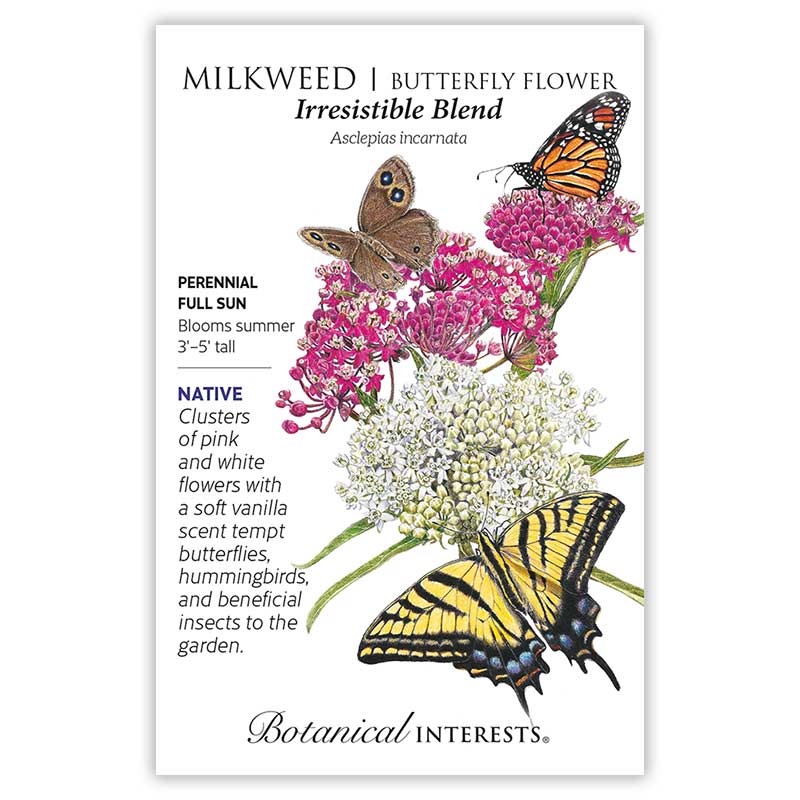 Eastern Breeze Butterfly Collection  view 3