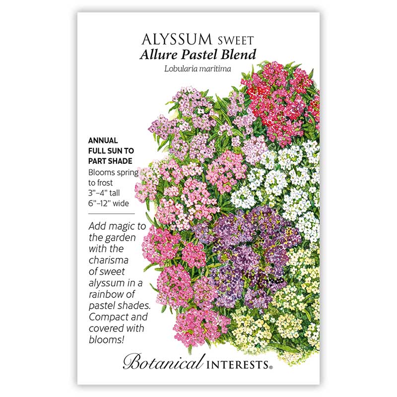 Allure Pastel Blend Sweet Alyssum Seeds    view 3