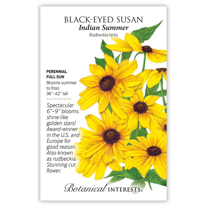 Indian Summer Black-Eyed Susan Seeds     view 3