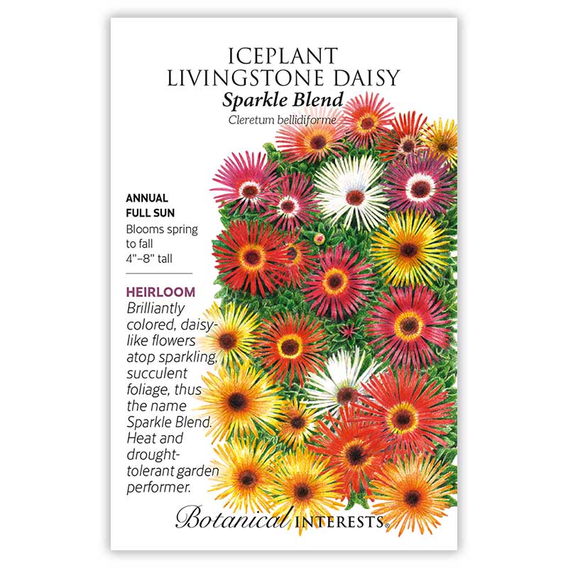 Sparkle Blend Iceplant (Livingstone Daisy) Seeds    view 3