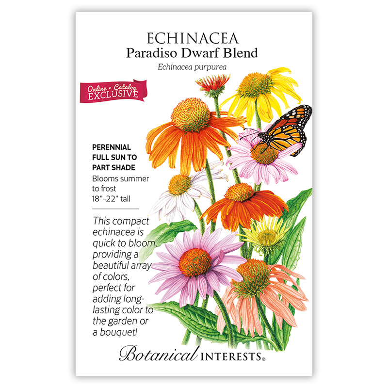 Paradiso Dwarf Blend Echinacea Seeds view 3