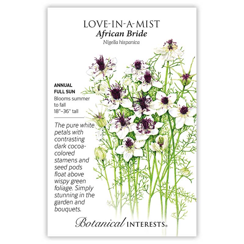 African Bride Love-In-A-Mist Seeds     view 3