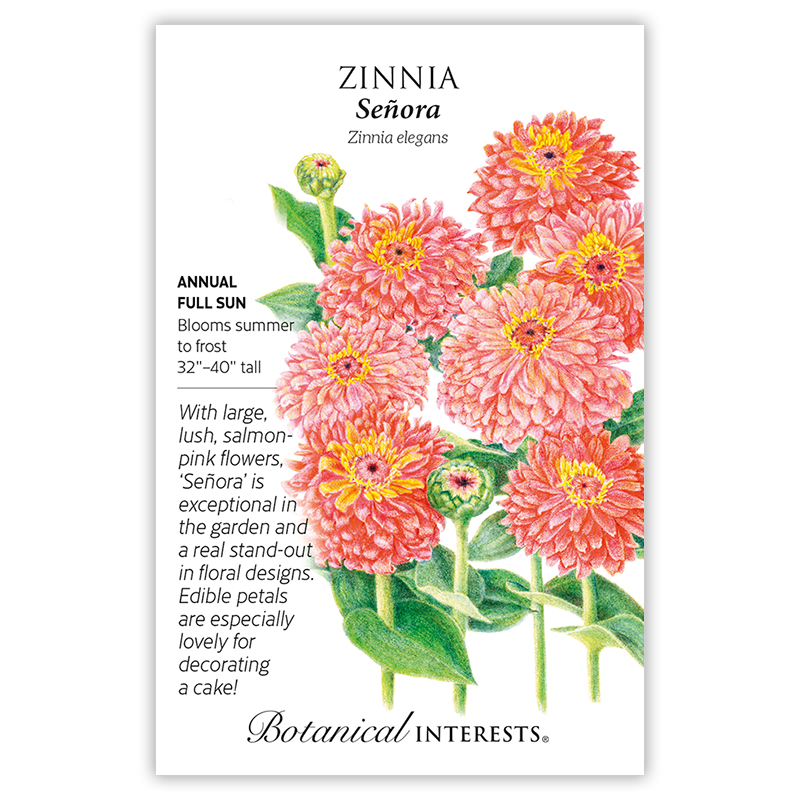 Senora Zinnia Seeds view 3