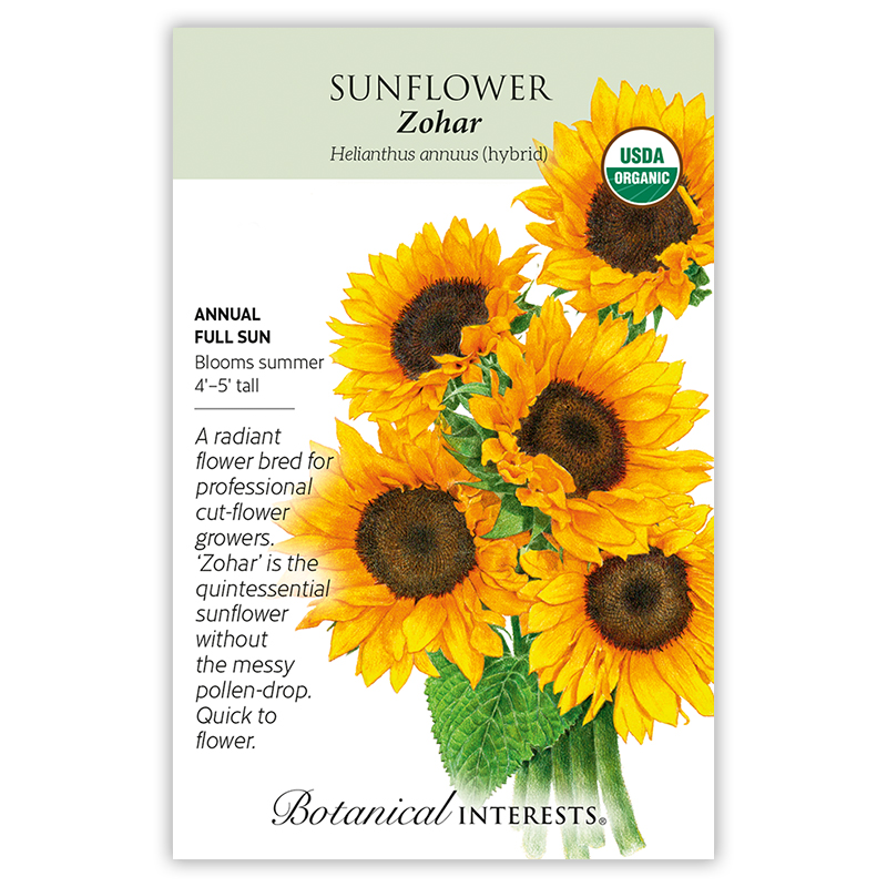 Zohar Sunflower Seeds view 3