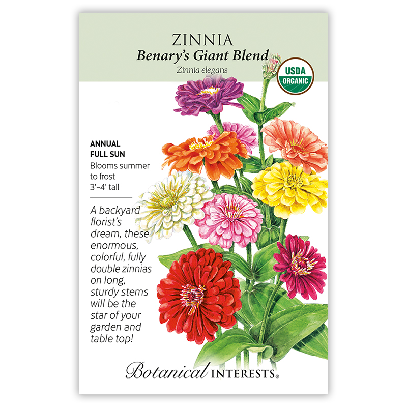 Benary's Giant Blend Zinnia Seeds view 3