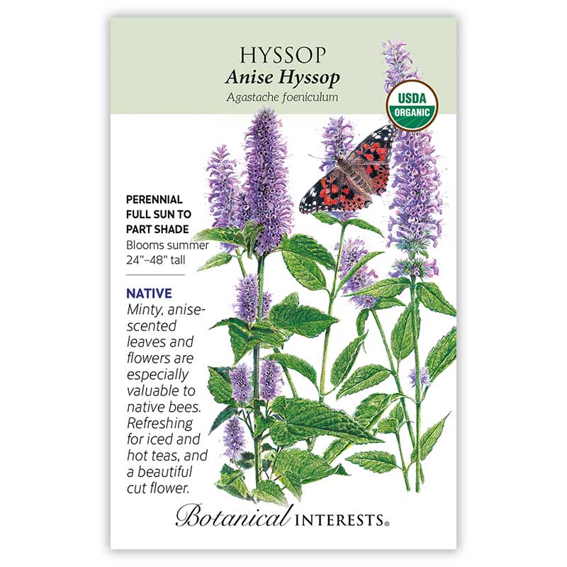 Anise Hyssop  Seeds      view 3