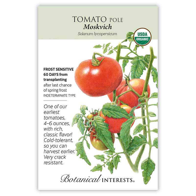 Moskvich Pole Tomato Seeds view 3