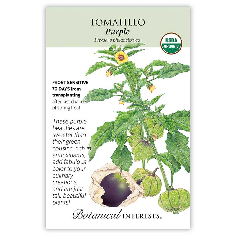 Purple Tomatillo Seeds view 3