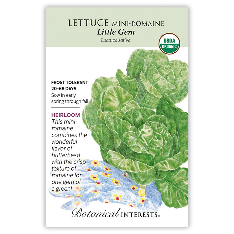 Little Gem Mini-Romaine Lettuce Seeds     view 3
