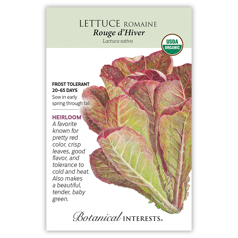 Rouge d'Hiver Romaine Lettuce Seeds view 3