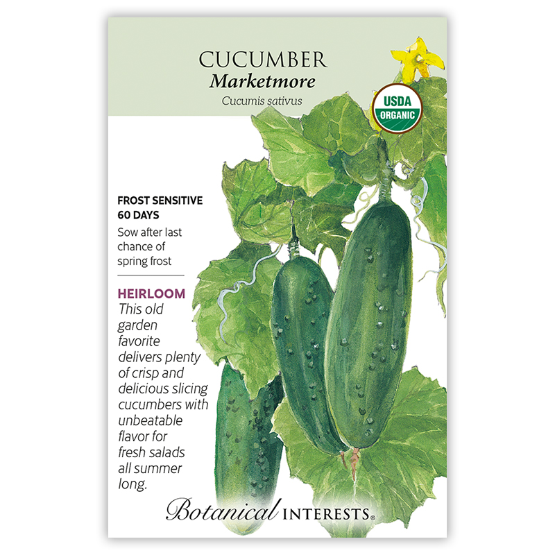 Marketmore Cucumber Seeds       view 3
